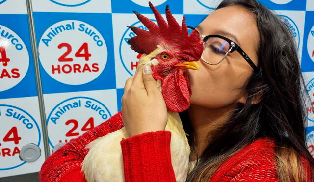 Joven ha recibido diversas muestras de apoyo para su gallo, que fue rescatado hace un año. Foto: María Pía Ponce/URPI-LR