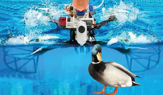 El dron podría imitar lo que hace un pato, pero con una mayor potencia. Foto: composición LR