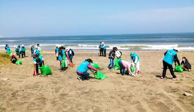 Más de 100 voluntarios recogieron residuos sólidos de playas. Foto: MDH