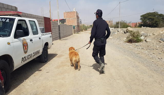 Los agentes de Homicidios de la Policía allanaron un segundo predio. Foto: LR