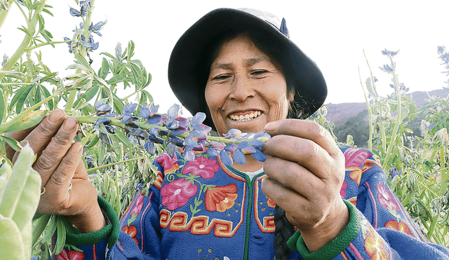 Sin intermediarios. Más de 500 familias de agricultores ofrecen, a través de Kusikuy, más de 70 variedades de superalimentos.