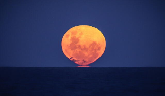 Fotografía de una luna llena en el horizonte. Foto: David Gray / AFP