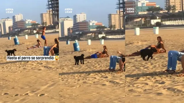 Hasta el perrito quedó sorprendido con la pirueta del chico. Foto: composición/ @animalizar/Instagram