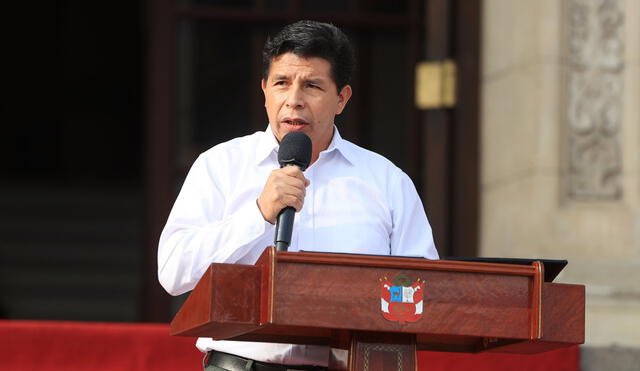 Defensa del presidente Pedro Castillo busca que investigaciones sean anuladas. Foto: Presidencia