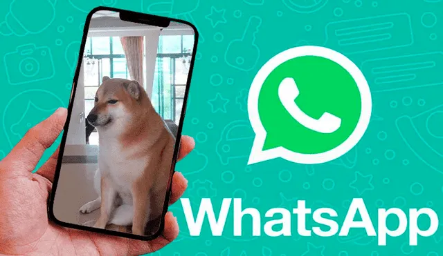 Este truco de WhatsApp está disponible en Android y iPhone. Foto: composición/LR