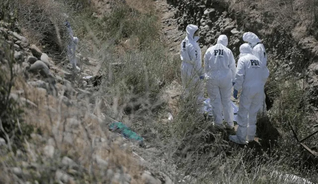 El dueño de la mascota quedó perplejo con el hallazgo y llamó inmediatamente a las autoridades. Foto: referencial / Diario Usach