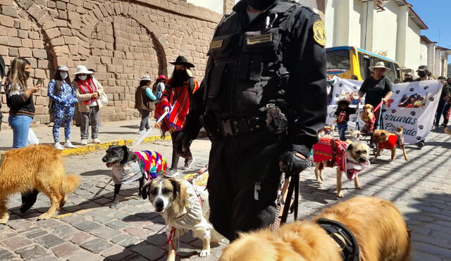 Cusco. Mascotas participaron de colorido pasacalle. Foto: La República