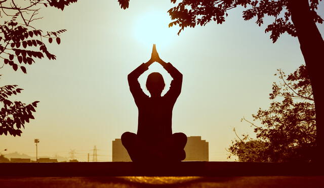 El yoga mejora la postura corporal y ayuda a prevenir y aliviar los dolores lumbares o cervicales provocados por los hábitos sedentarios. Foto: Escuela versailles