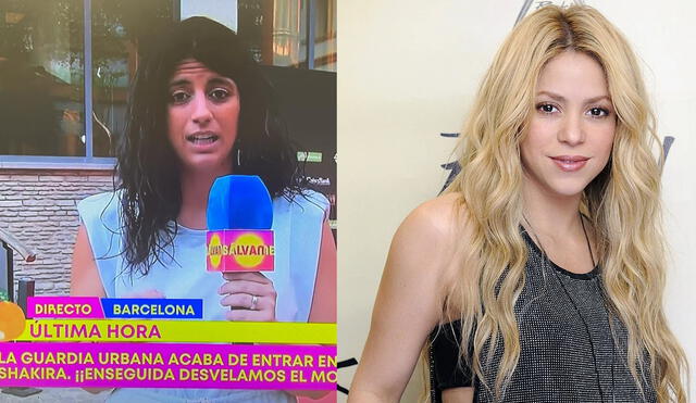 El hermano de Shakira acudió en la mañana a la comisaría para denunciar a los dos fanáticos.