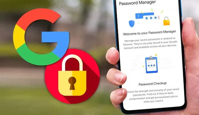 El nuevo widget del gestor de contraseñas de Google te facilita el acceso a tus credenciales. Foto: Androidphoria
