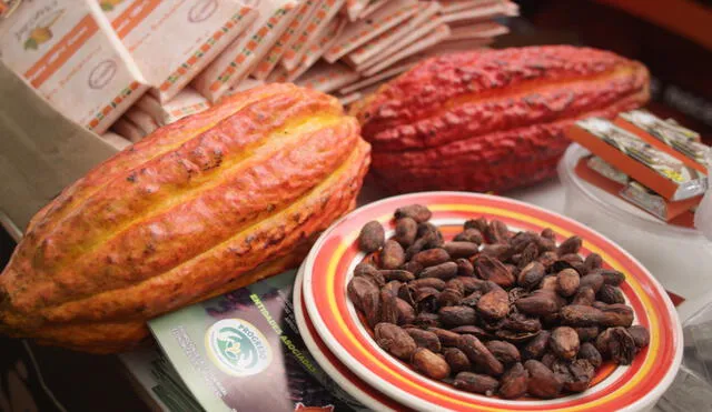 Cacao peruano fue el más premiado en concurso de chocolate en París. Foto: La República