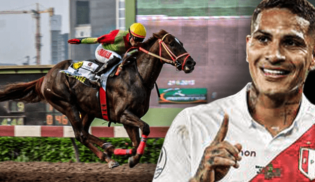 Paolo Guerrero es fanático de las carreras de caballos. Foto: composición/Andina