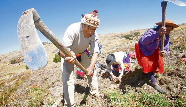 Cada 24 de junio se reconoce el labor de los hombres y las mujeres que trabajan la tierra. Foto: Andina