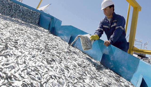 Pescadores piden reanudar sus actividades para no seguir afectando sus economías. Foto: difusión