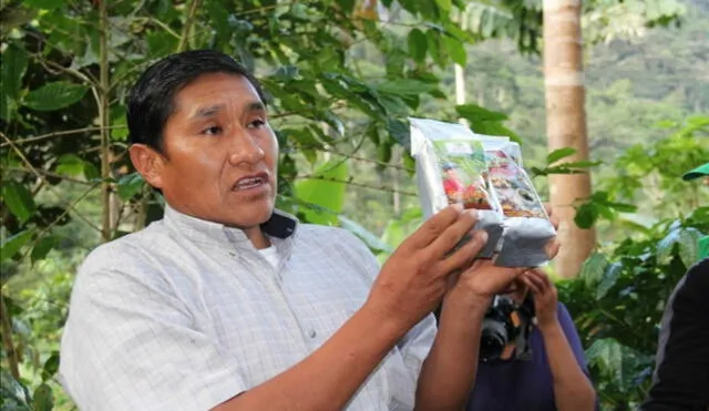 Raúl Mamani obtuvo el segundo lugar en la VI Edición de los Premios Café Símbolo de Pequeños Productores 2022. Foto: La República: Kleber Sánchez