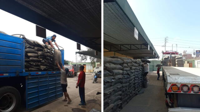 150 toneladas de guano de isla para los agricultores de Tacna.