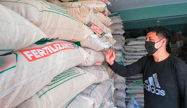 Agricultores lambayecanos registran perdidas de aproximadamente el 30%, debido al alza en los precios de los fertilizantes. Foto: Sedir.