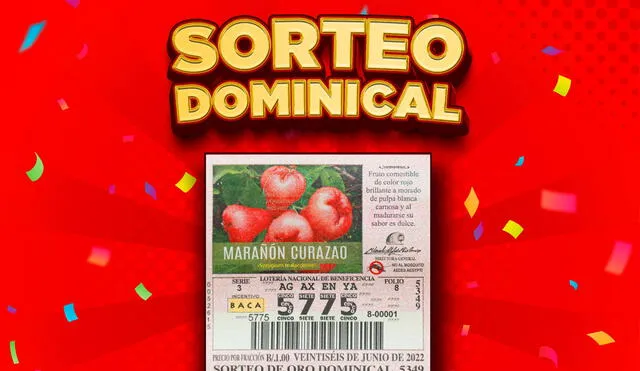 Lotería Nacional de Panamá: Lotería de hoy 26 de junio, Telemetro en VIVO el Sorteo Miercolito y Sorteo Dominical. Foto: captura-Twitter