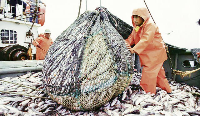 Proyecto de ley. Iniciativa presentada en noviembre del año pasado busca una nueva ley de pesca luego de 30 años. Foto: difusión