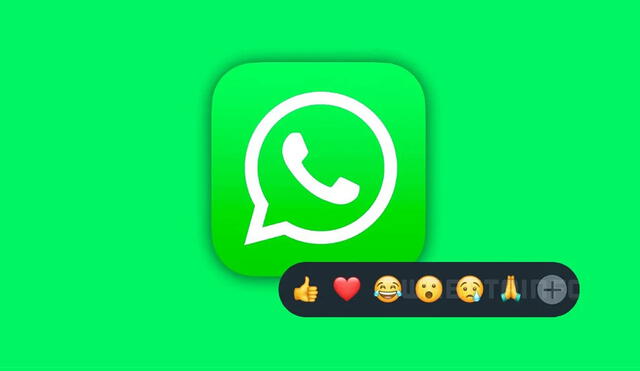 En la actualidad, en WhatsApp están disponibles solo seis emojis de reacción. Foto: iPadízate
