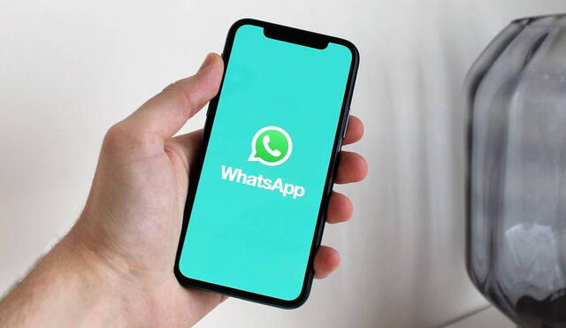 WhatsApp renovó sus protocolos de seguridad y privacidad de datos en 2021. Foto: Urban Tecno
