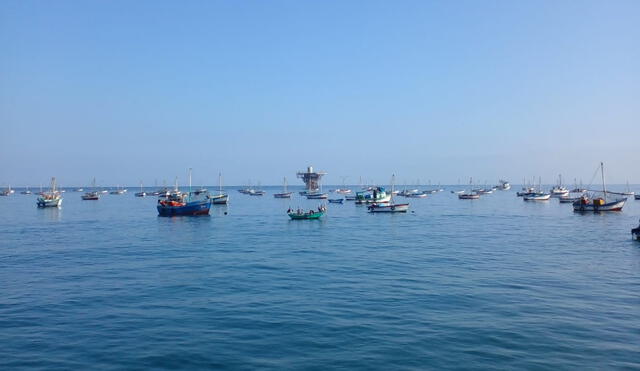 Pescadores artesanales de Cabo Blanco utilizan técnicas menos invasivas. Foto: Almendra Ruesta/La República