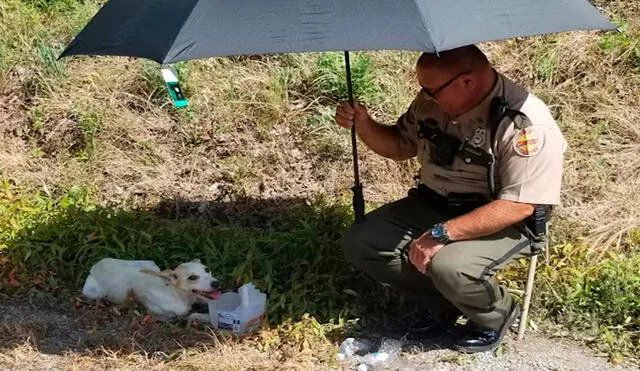 Con un poco de comida y agua, el agente se ganó la confianza del indefenso animal que estaba varado a un costado de la carretera. Foto: Kaye Fiorello/ Facebook