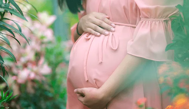 Cathleen MacKenzie quedó embarazada de gemelos sustitutos en el año 2010, pero los padres se retiraron. Foto: Pixabay