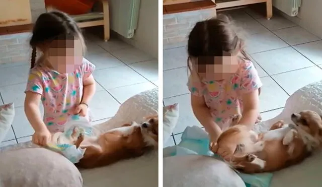 Una mujer dejó a su hija por unos minutos con la compañía de su mascota, pero al regresar se llevó una tierna sorpresa. Foto: composición LR/Facebook
