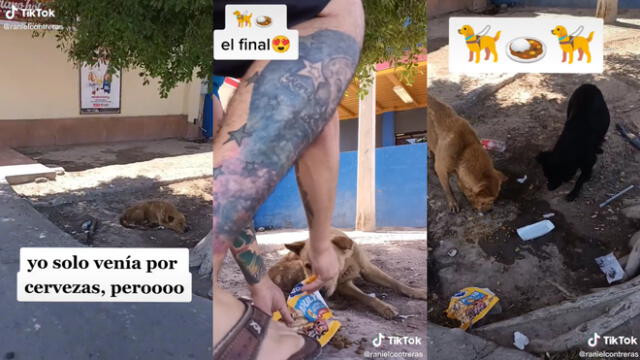 Otro perrito se acercó para degustar el alimento que el hombre compartió. Foto: composición/ @ranielcontreras/TikTok