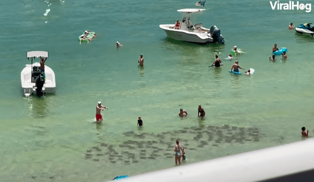 Los veraneantes se sorprendieron al ver la gran cantidad de mantarrayas nadando bajo sus piernas. Video: @viralhog/Facebook