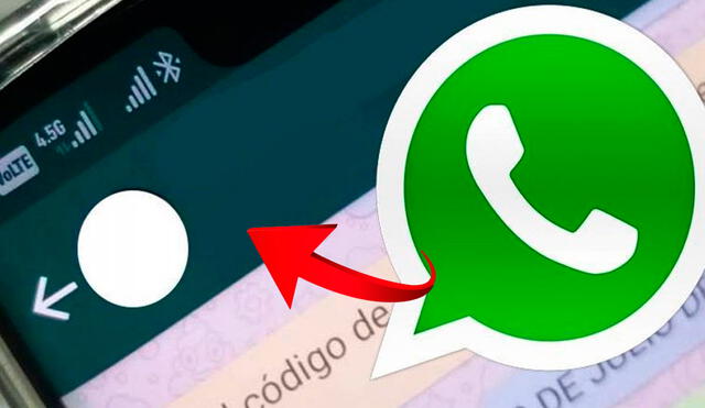 WhatsApp está incorporando novedades. Foto: composición LR/ Xataka