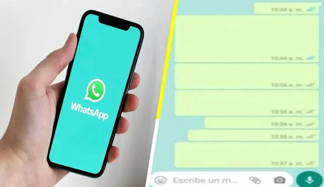 Truco de WhatsApp funciona en Android y iPhone. Foto: Sopitas