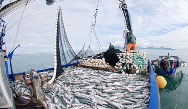 La iniciativa de Ley fue presentada el 5 de noviembre del 2021 por la congresista ancashina Kelly Portalatino Ávalos. Foto: Revista Pesca & Medio ambiente