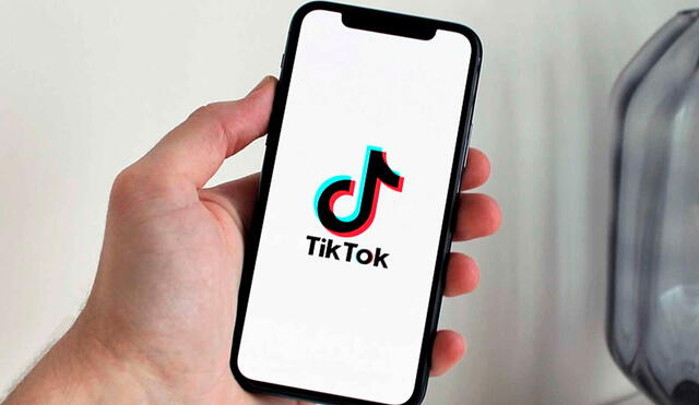 Tiktok podrá apelar a la investigación iniciada por las autoridades de Brasil. Foto: Pixabay