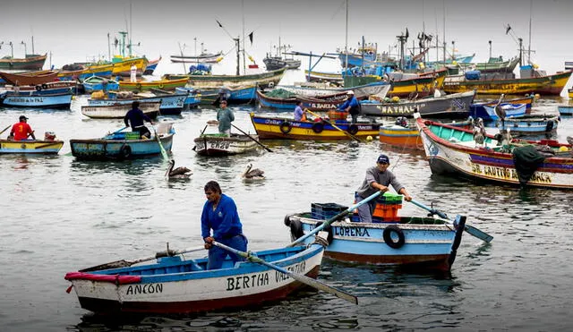 La propuesta incluye la creación del Consejo Nacional de Pesca, como un órgano de carácter consultivo. Foto: Mongabay