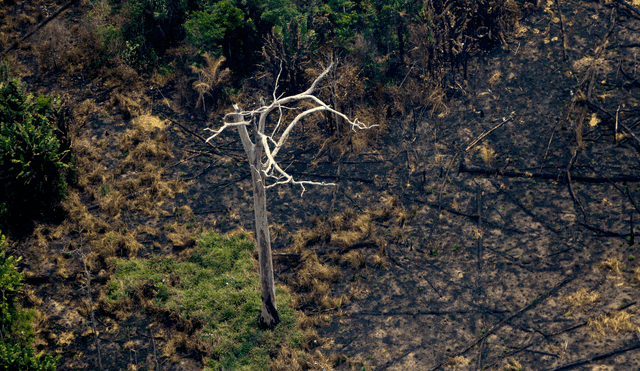 En mayo, el INPE detectó 2.287 incendios en la selva, la cifra más alta para ese mes desde 2004. Foto: AFP