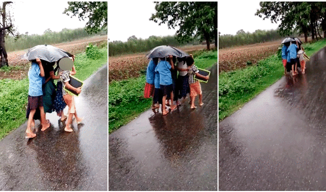 El grupo de niños no se amilanó con la fuerte lluvia y muy decididos idearon un plan para que el agua no los afecte. Foto: composición LR/ Facebook/@AwanishSharan
