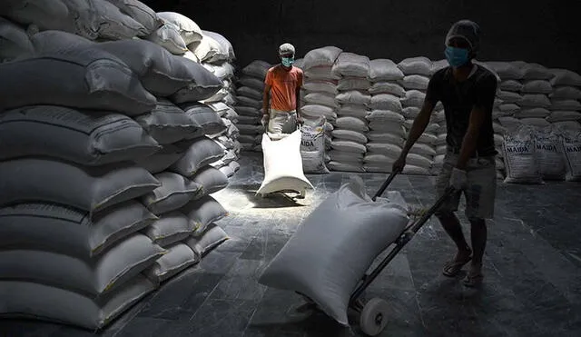 El trigo es el principal cultivo de cereales en India, segundo productor de ese grano más grande del mundo después de China. Foto: AFP