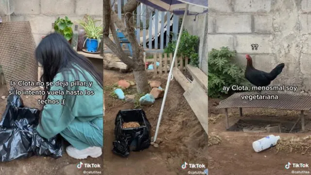 La joven creó textos dentro del video explicando todo lo que hizo para Clota. Foto: composición LR/ @catutitaa/TikTok