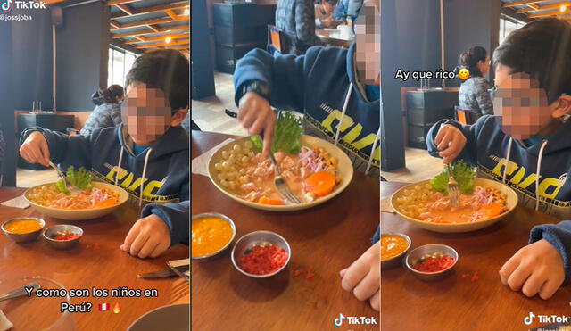 La reacción de este niño al comer ceviche picante sorprendió a más de uno en las redes sociales. Foto: composición LR / captura de TikTok / @jossjoba