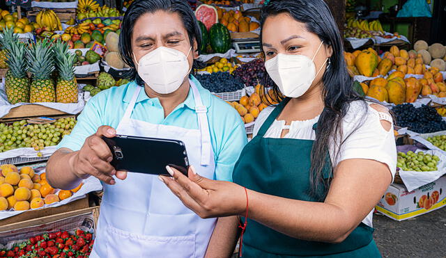 Afiliados podrán acceder al nuevo sistema Pago Fácil desde la plataforma ONP Virtual. Foto: ONP