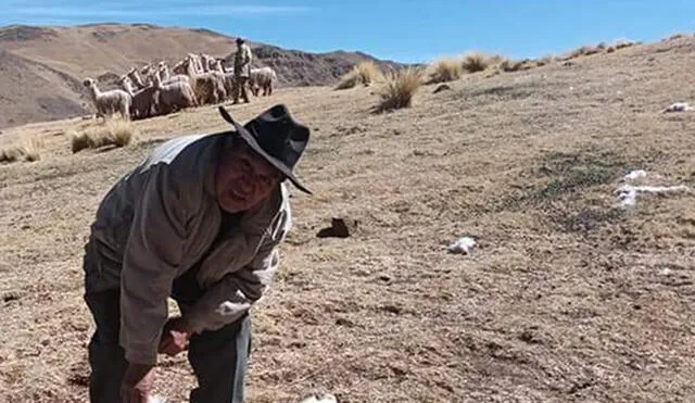 Pobladores temen que otros animales sean atacados. Foto: Cortesía radio Onda Azul