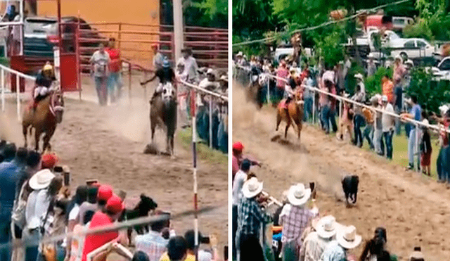 El evento sacó miles de sonrisas, pues más de uno opinó que hubieran apostado por el perro. Foto: composición LR/captura de TikTok/@el_brian_a