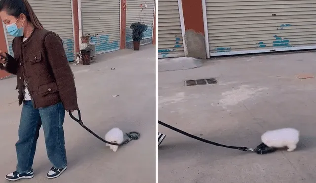 La joven arrastraba la soga, pero su perro se había liberado de su collar. Video: @libradadtopaliany/TikTok