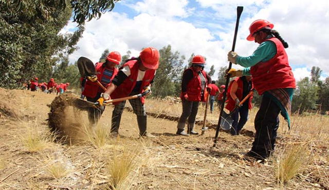 El dinero era destinado al pago de los obreros del programa Trabaja Perú. Foto: programa Trabaja Perú