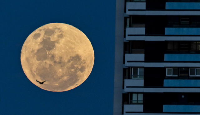 Superluna de ciervo 2022 vista desde Buenos Aires, Argentina. Foto: AFP