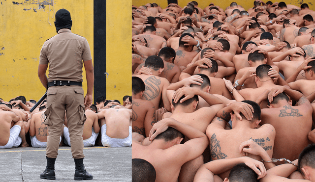 Durante el estado de excepción, se han incautado 1.038 armas, más de 44.000 porciones de droga y más de 1,5 millones de dólares. Foto: composición LR / AFP