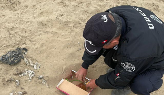 Efectivos de la USE reciben llamadas para desactivar cargas explosivas. Foto: La República