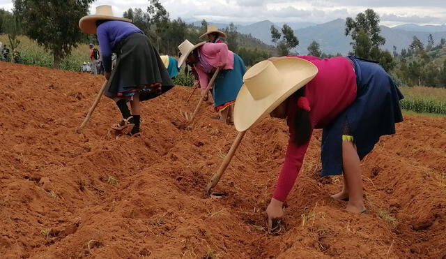 Plan de trabajo se desarrolla en Sánchez Carrión y Santiago de Chuco. Foto: Cedepas